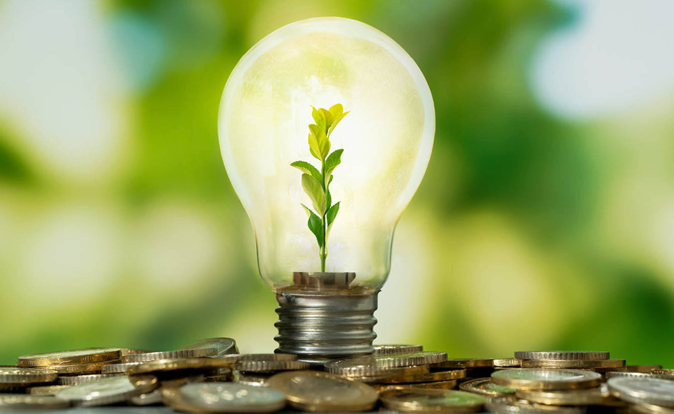A graphic image depicting energy savings with a light bulb and a plant growing within its glass, sitting on a pile of coins.