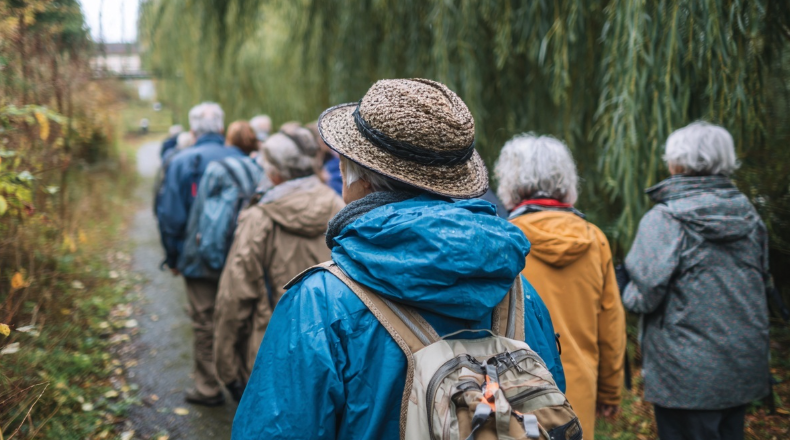 A group of members walking along a misty wooded trail on a nature walk.